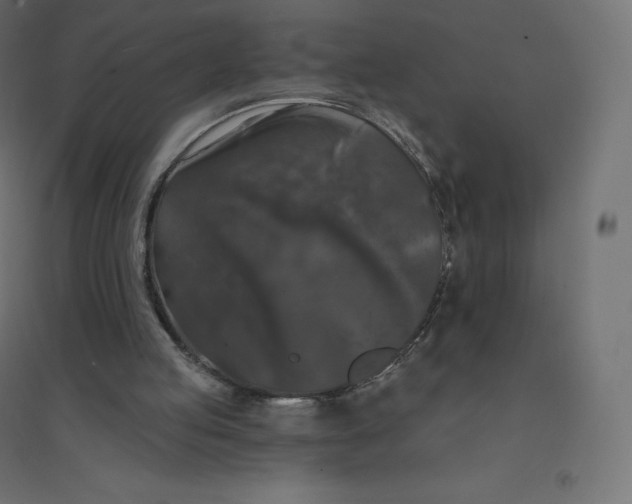 X0000094380053200711242031