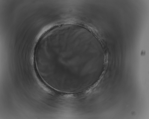 X0000094380054200711242031