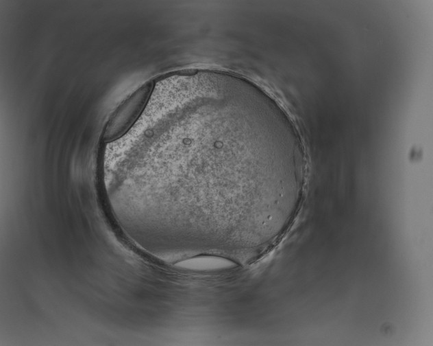 X0000094380055200711242031