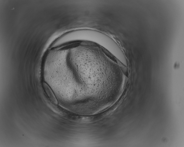 X0000094380056200711242031
