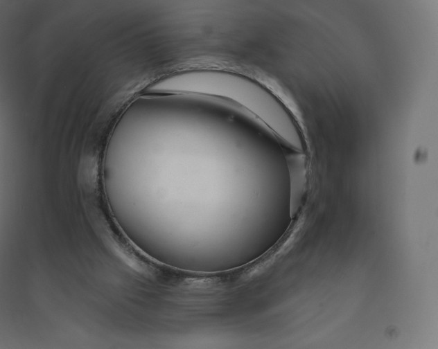 X0000094380057200711242031