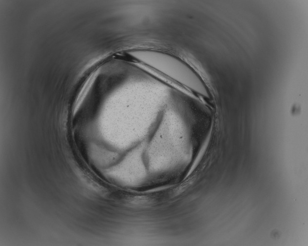X0000094380058200711242031