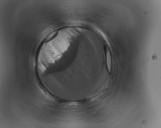 X0000094380059200711242031