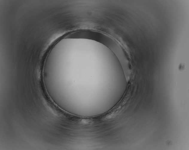 X0000094380060200711242031