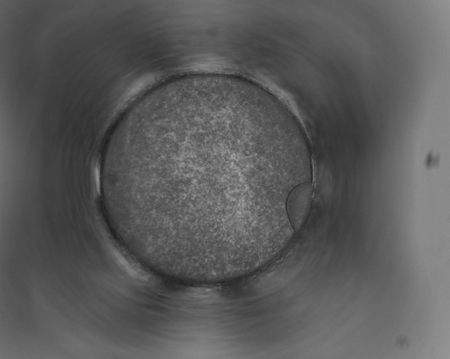 X0000094380061200711242031
