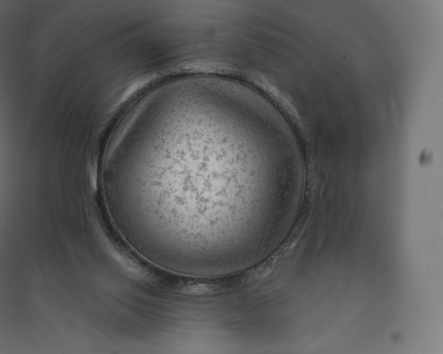 X0000094380062200711242031