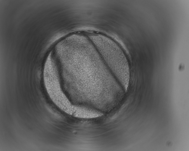 X0000094380063200711242031