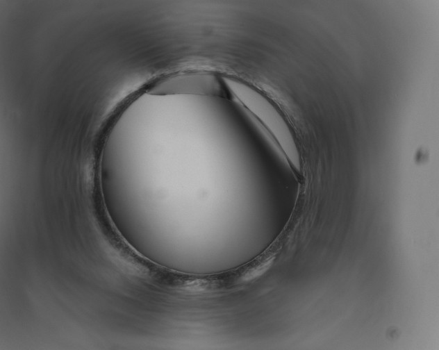 X0000094380064200711242031