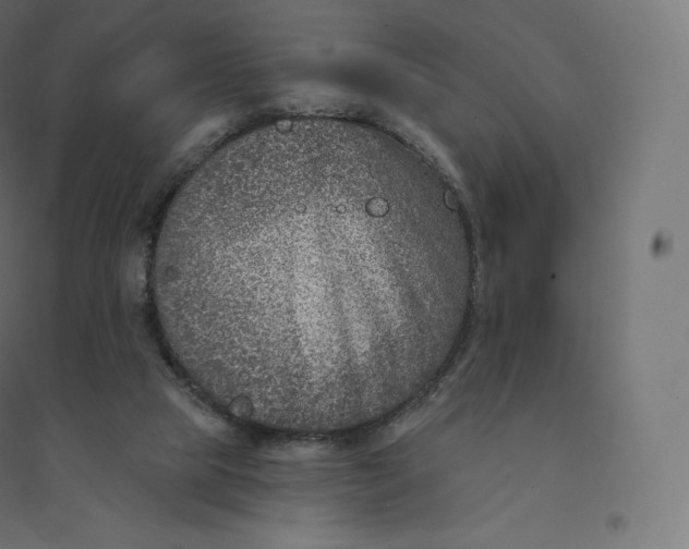 X0000094380065200711242031