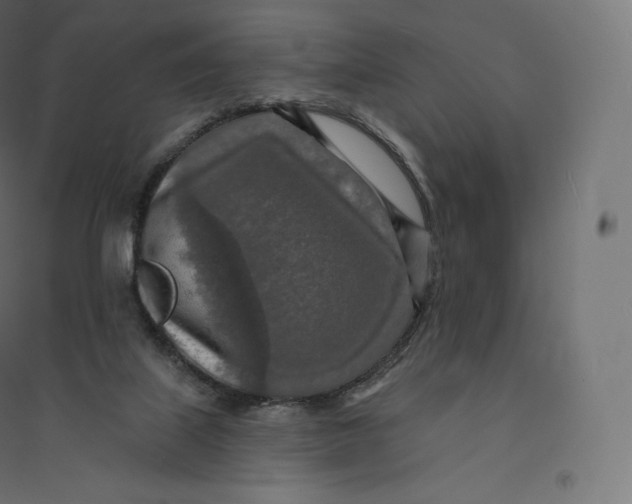 X0000094380067200711242031