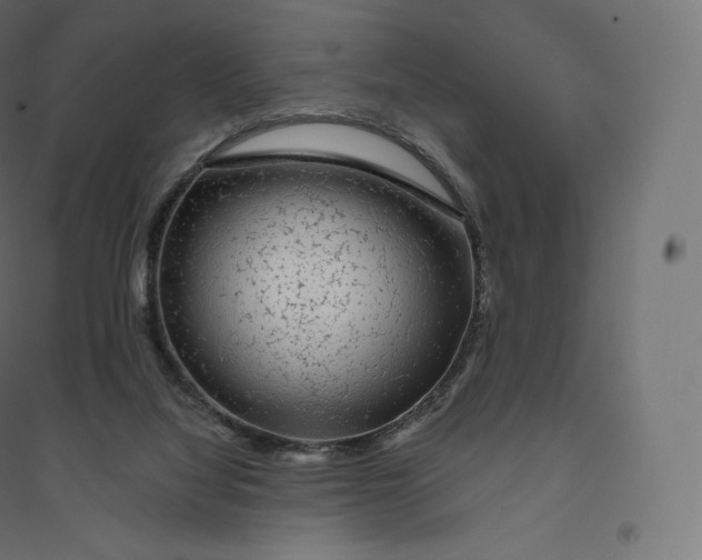 X0000094380068200711242031