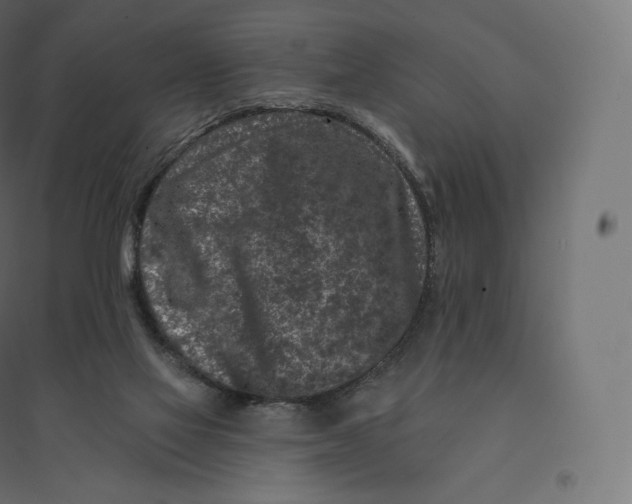 X0000094380069200711242031