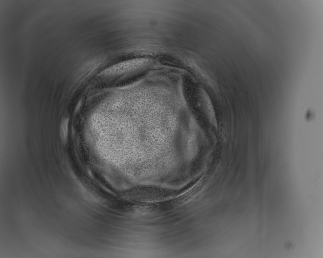 X0000094380070200711242031