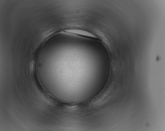 X0000094380071200711242031