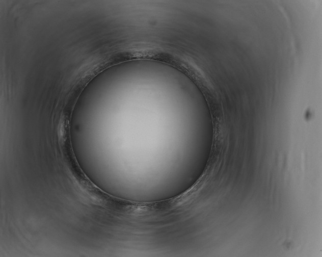 X0000094380074200711242031