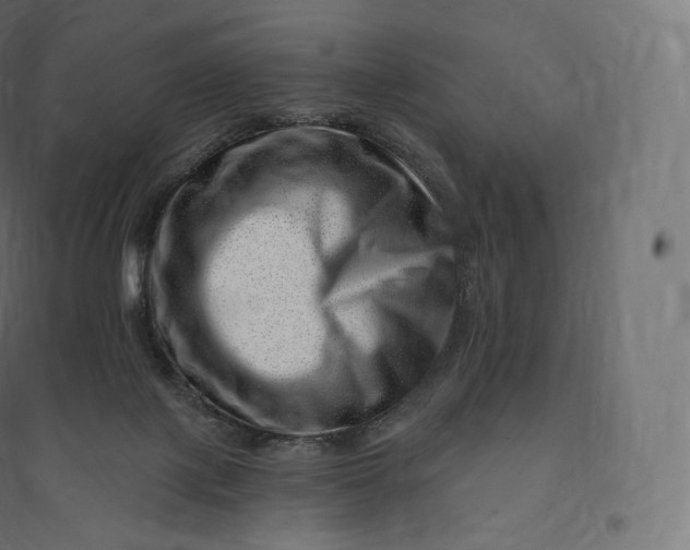 X0000094380075200711242031