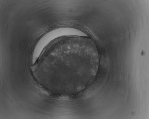 X0000094380076200711242031