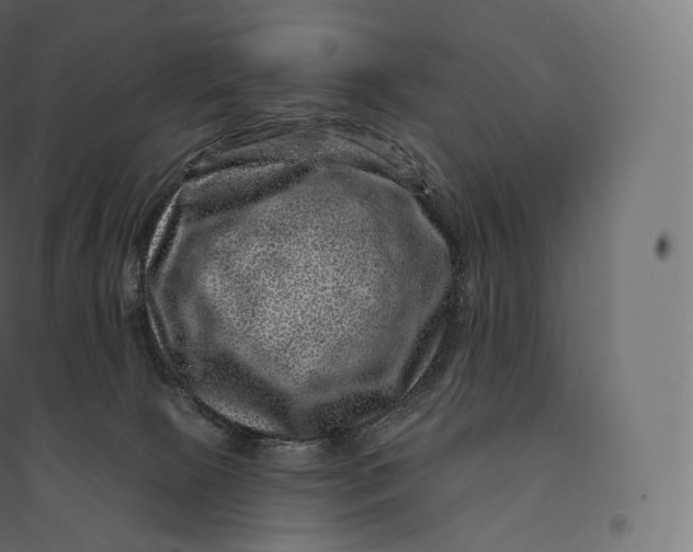 X0000094380081200711242032