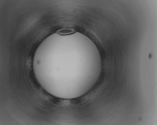X0000094380083200711242032