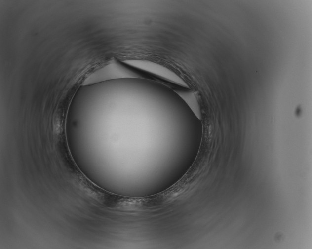 X0000094380084200711242032