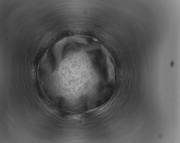 X0000094380086200711242032
