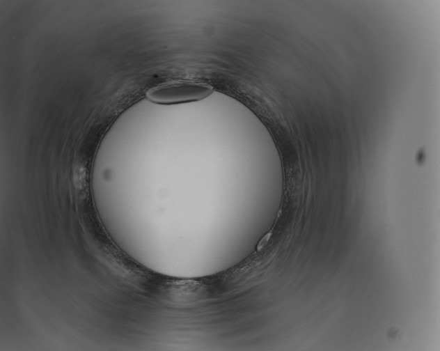 X0000094380087200711242032