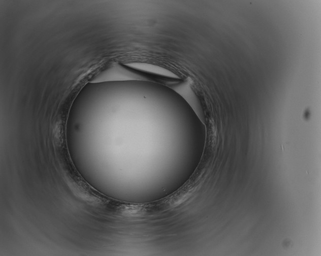X0000094380088200711242032