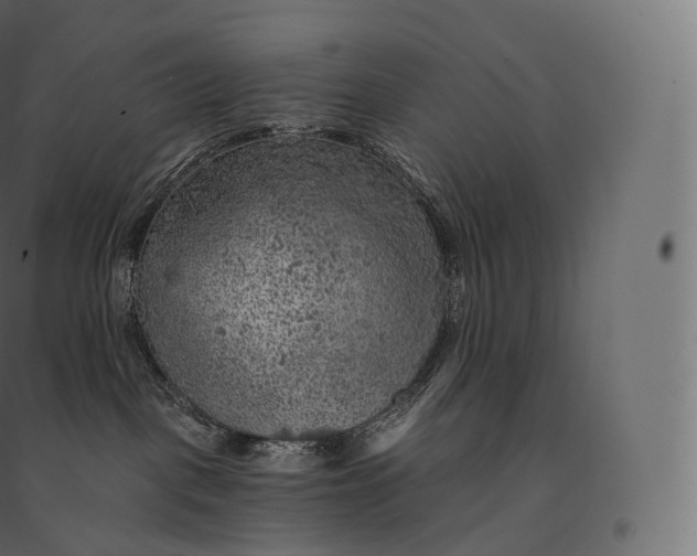 X0000094380093200711242032