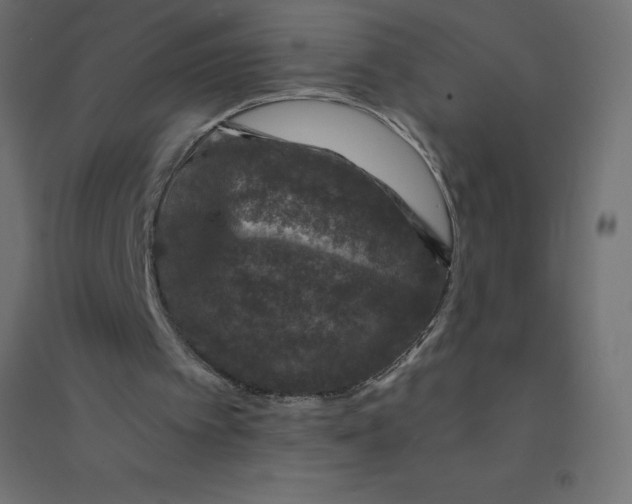 X0000094380097200711242031