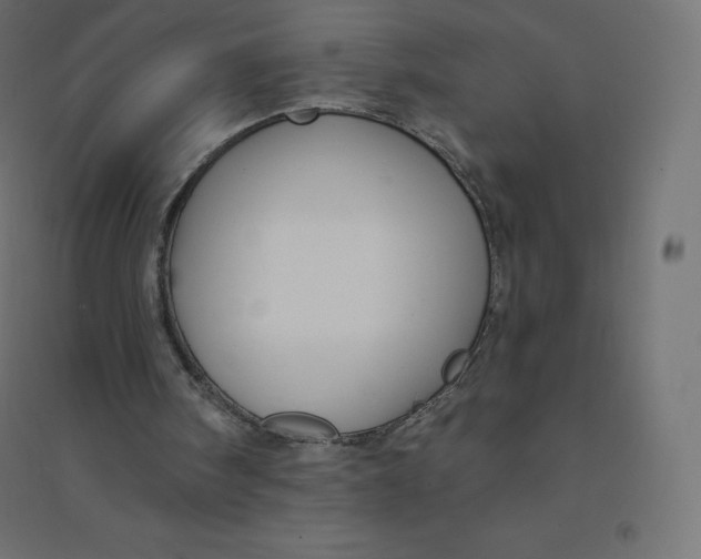 X0000094380098200711242031