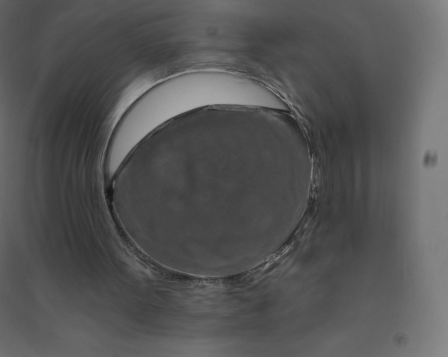 X0000094380099200711242031