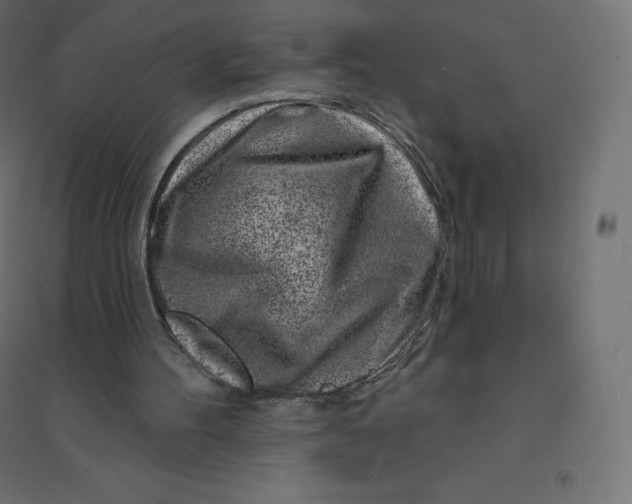 X0000094380100200711242031