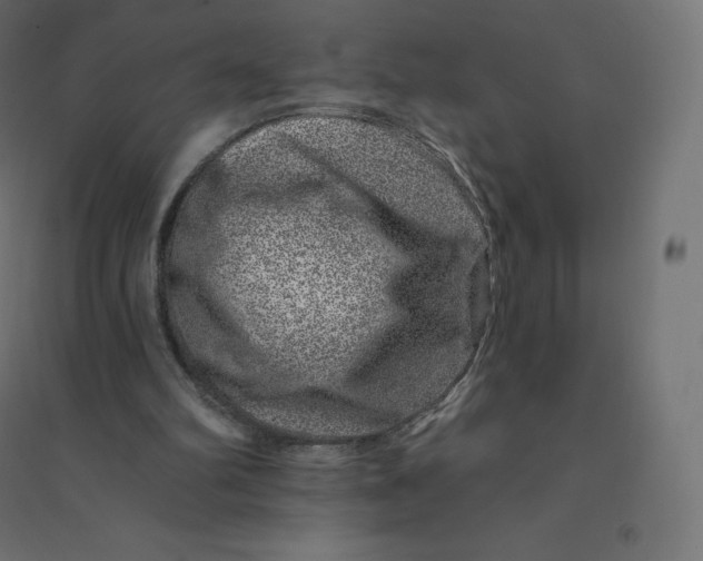 X0000094380102200711242031