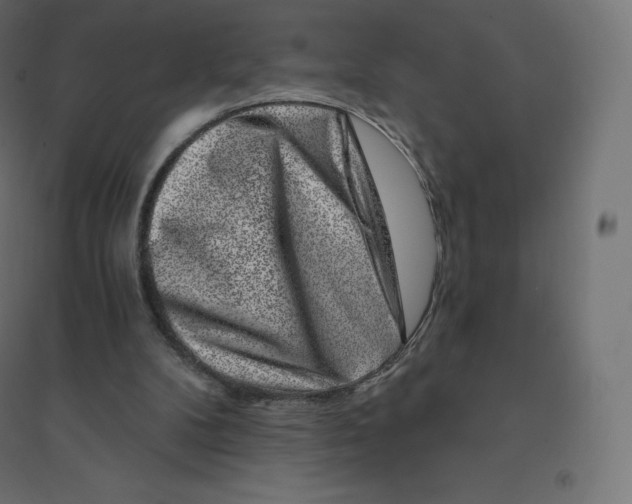 X0000094380104200711242031