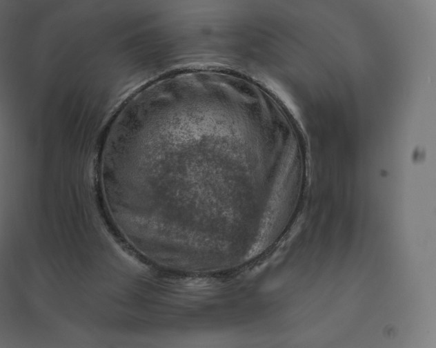 X0000094380105200711242031
