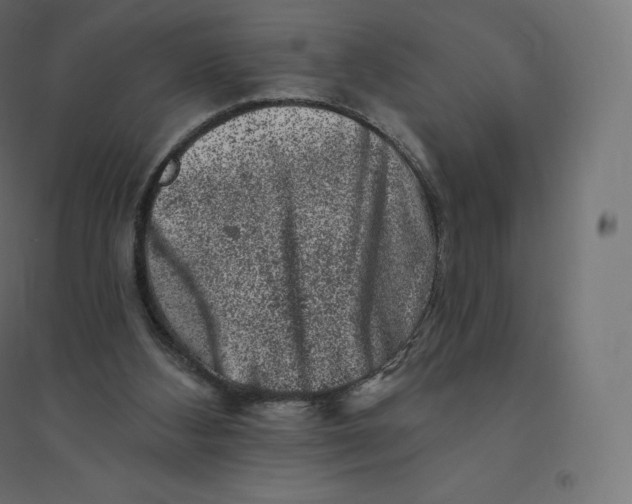 X0000094380108200711242031