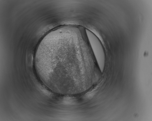 X0000094380109200711242031
