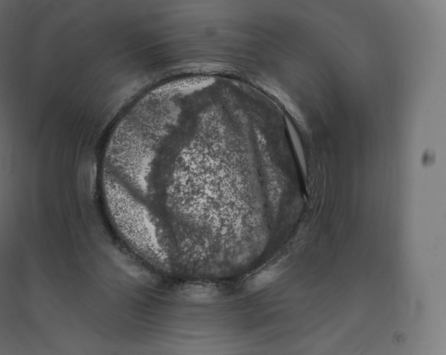 X0000094380110200711242031