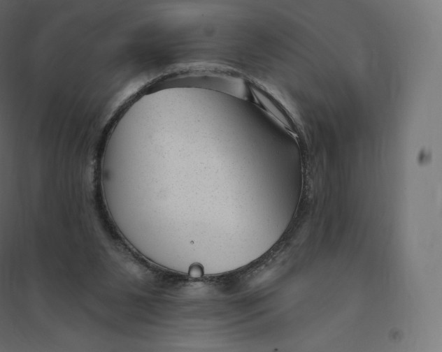 X0000094380111200711242031