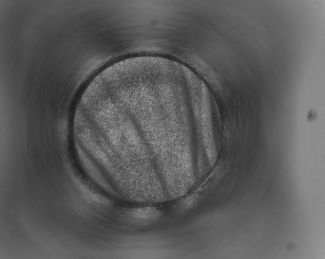 X0000094380112200711242031
