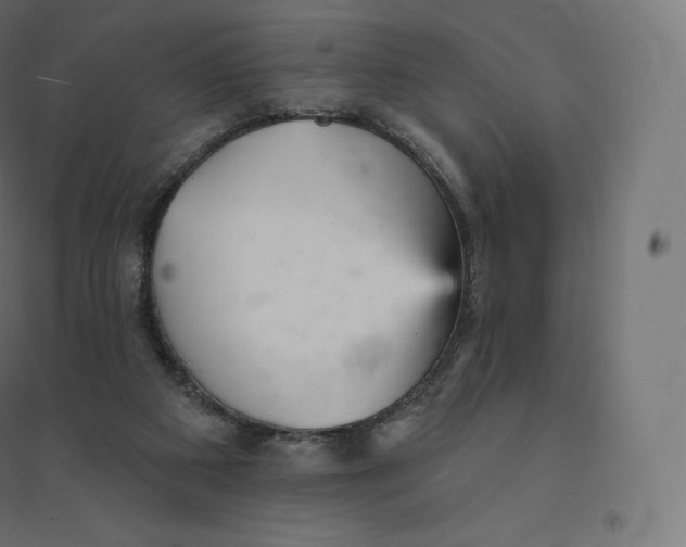 X0000094380113200711242031