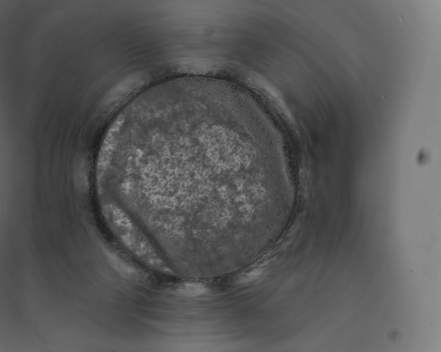 X0000094380114200711242031