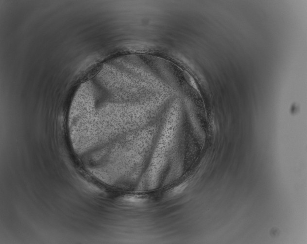 X0000094380117200711242031