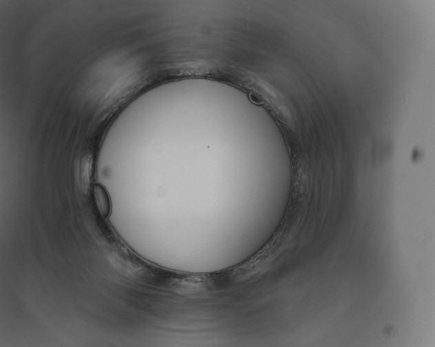 X0000094380118200711242031