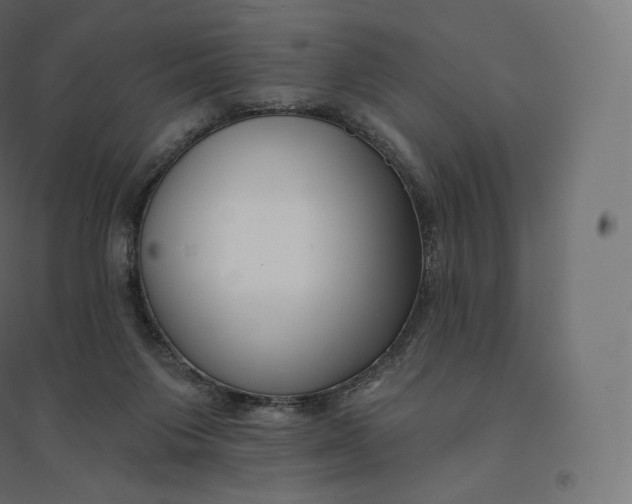 X0000094380119200711242031