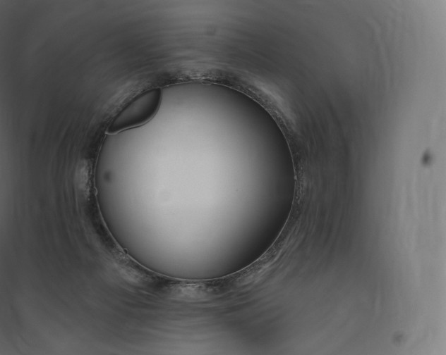X0000094380121200711242031