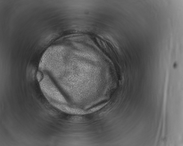 X0000094380123200711242031