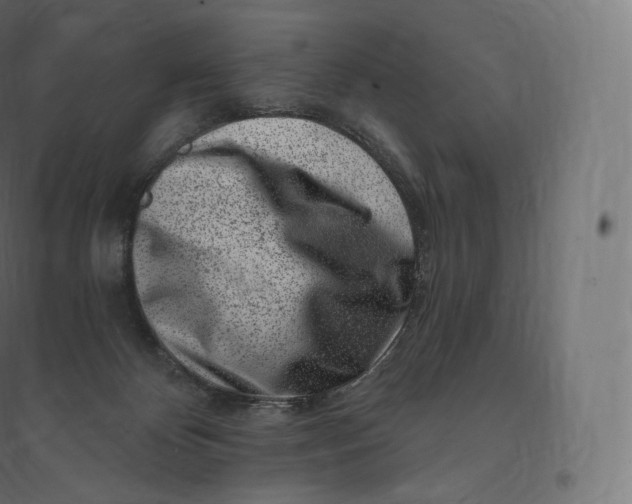 X0000094380124200711242031