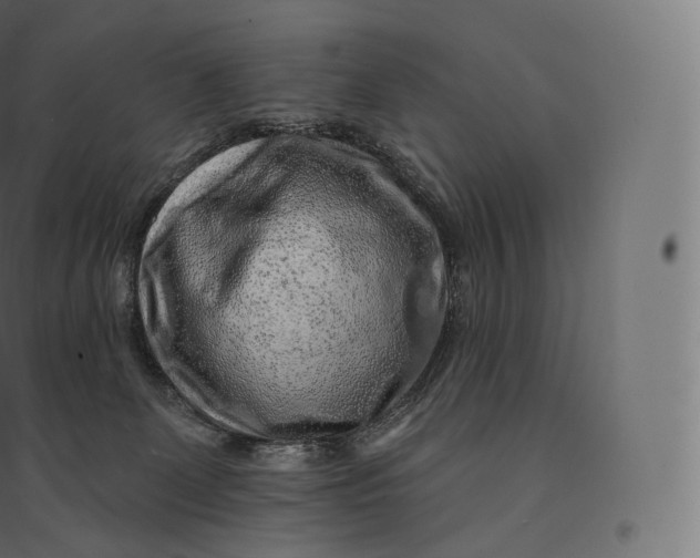X0000094380131200711242030