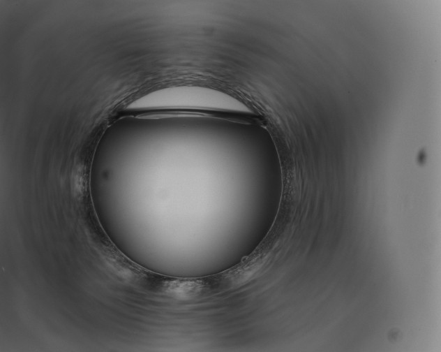 X0000094380135200711242030
